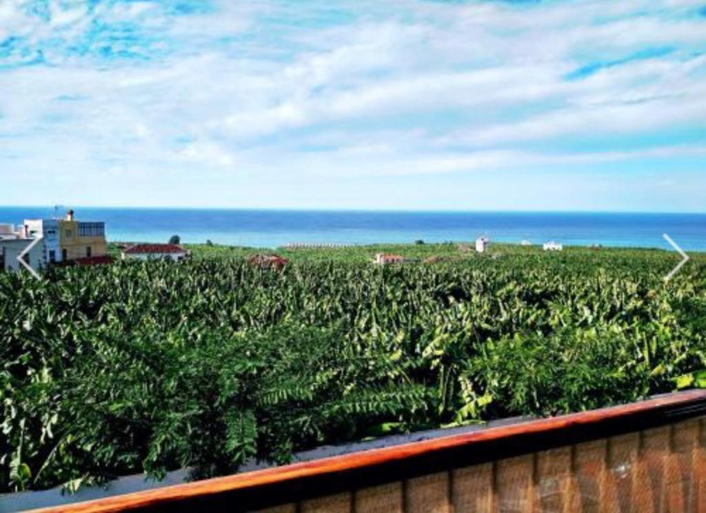 Apartamento El Tejar Tazacorte Esterno foto