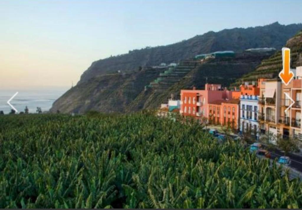Apartamento El Tejar Tazacorte Esterno foto